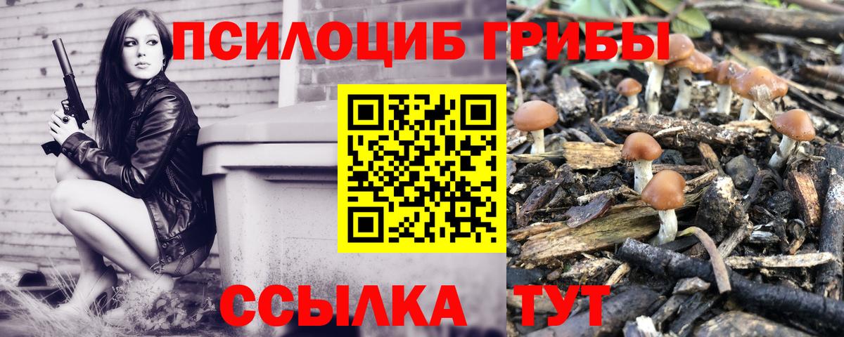 Нефтекумск  Галлюциногенные грибы GOLDEN TEACHER  Вход с VPN 
